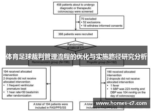 体育足球裁判管理流程的优化与实施路径研究分析