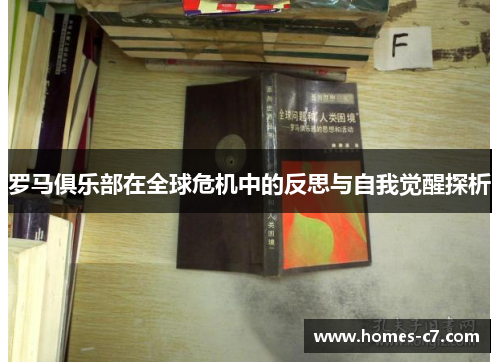 罗马俱乐部在全球危机中的反思与自我觉醒探析
