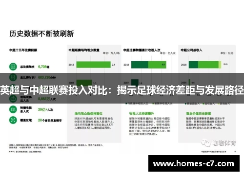 英超与中超联赛投入对比：揭示足球经济差距与发展路径