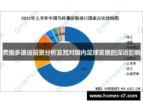 费南多退役前景分析及其对国内足球发展的深远影响