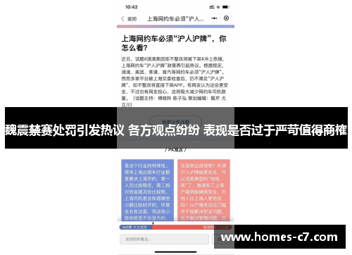魏震禁赛处罚引发热议 各方观点纷纷 表现是否过于严苛值得商榷