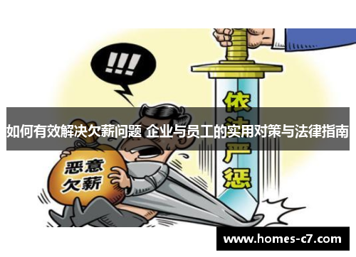 如何有效解决欠薪问题 企业与员工的实用对策与法律指南