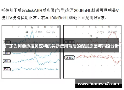 广东为何要承担贝兹利的买断费用背后的深层原因与策略分析