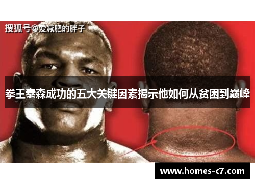 拳王泰森成功的五大关键因素揭示他如何从贫困到巅峰