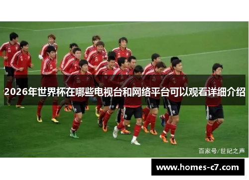 2026年世界杯在哪些电视台和网络平台可以观看详细介绍