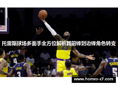 托雷斯球场多面手全方位解析其前锋到边锋角色转变