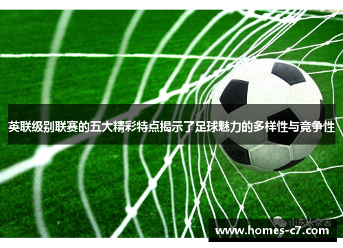英联级别联赛的五大精彩特点揭示了足球魅力的多样性与竞争性